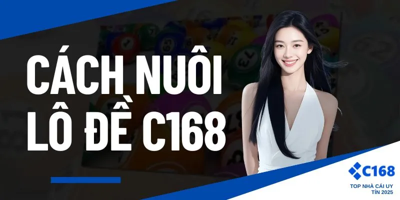 Cách nuôi lô đề C168