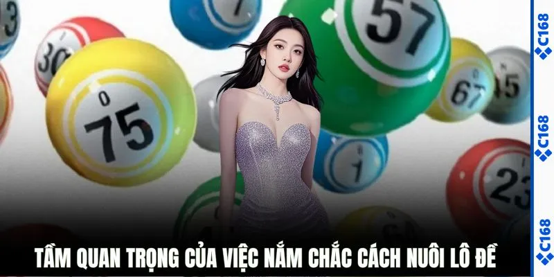 Tầm quan trọng của việc nắm chắc cách nuôi lô đề